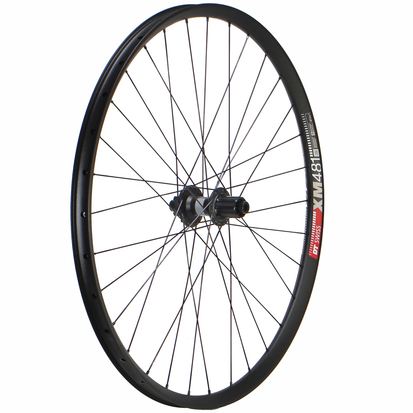 DT XM481 / DT 370 LN 29" Wheels