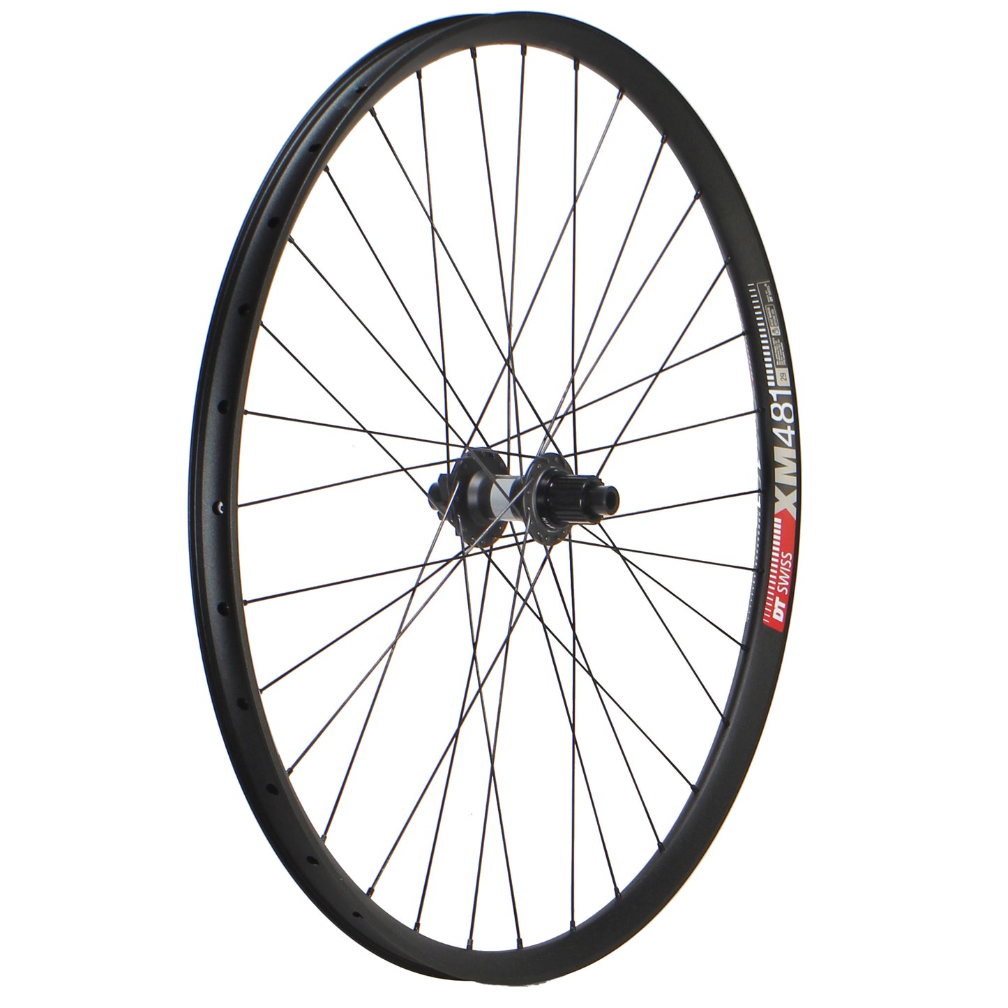 DT XM481 / DT 370 LN 29" Wheels