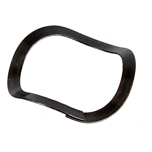 Leo Wave Spring Cannondale Lefty