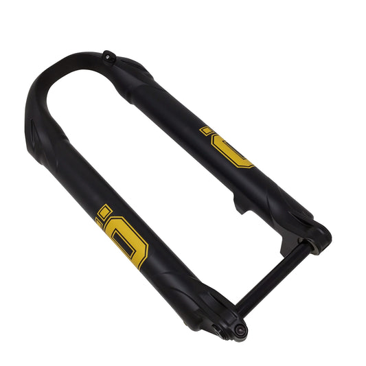 Lower Leg Assembly, RXF36, Evo, M.2 27.5"  NLS