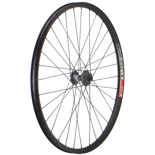 {"size"=>"29\"", "front/rear"=>"front", "rim"=>"DT Swiss XM481", "hub"=>"DT Swiss 370 LN IS disc", "axle/spacing (mm)"=>"15x100 TA", "hole"=>"32h", "spoke"=>"DB", "nipple"=>"brass", "color"=>"black", "weight"=>"960g"}